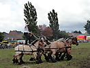 Trekpaardenhappening 2012