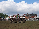 Trekpaardenhappening 2009