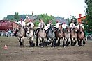 Trekpaardenhappening 2010