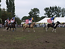Trekpaardenhappening 2011